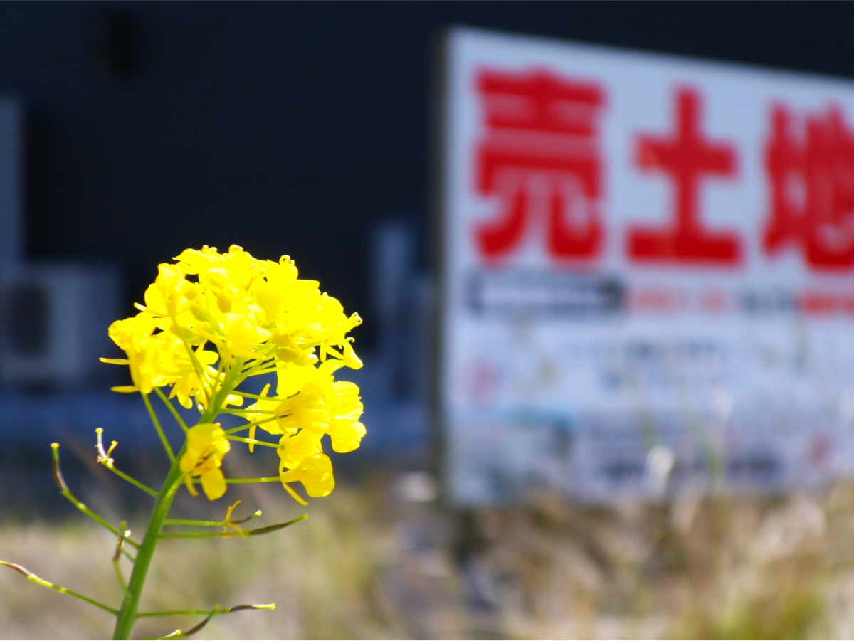 売地